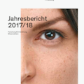 FH Salzburg Jahresbericht 2017/18 (pdf)