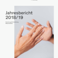 FH Salzburg Jahresbericht 2018/19 (pdf)